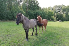 1_IMG_20230828_144223