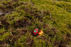 1_PXL_20250419_075325020