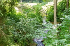 stream