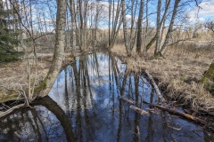 PXL_20250323_133420651