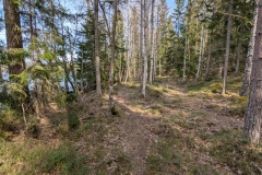 PXL_20250413_124236560