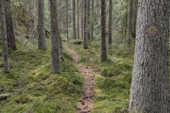 PXL_20250413_133327678