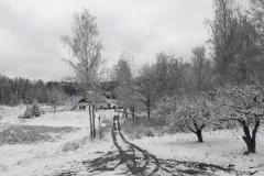 signal-2024-12-03-213401